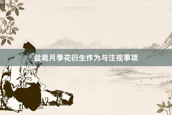 盆栽月季花衍生作为与注视事项