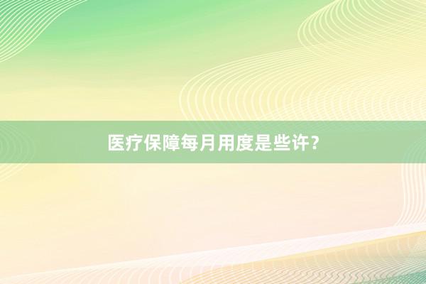 医疗保障每月用度是些许？