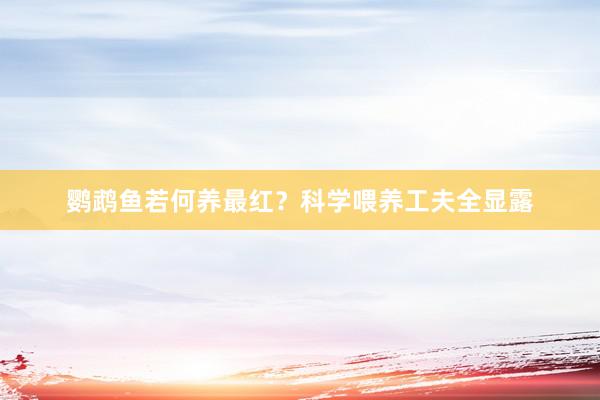 鹦鹉鱼若何养最红？科学喂养工夫全显露